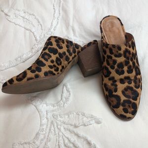 Madewell calf hair mules